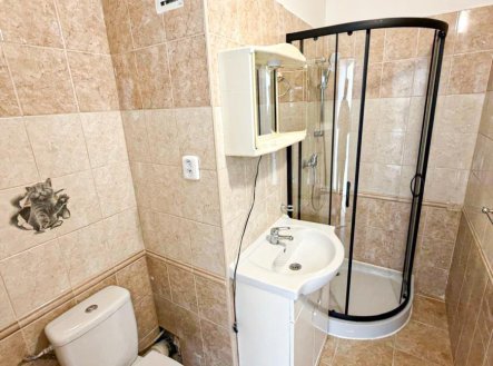 Pronájem bytu, garsoniéra, 25 m²