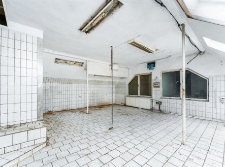 Prodej obchodní prostory, 110 m²