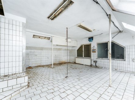 Prodej obchodní prostory, 110 m²