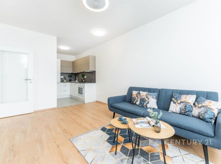 Pronájem bytu, 2+kk, 47 m² obrázek