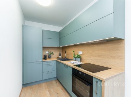 Prodej bytu, 2+kk, 47 m²