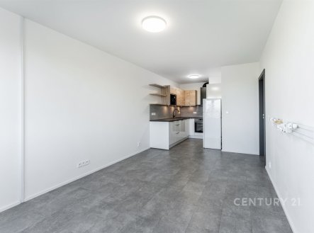 Pronájem bytu, 2+kk, 49 m²