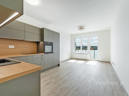 Pronájem bytu, 3+kk, 70 m²