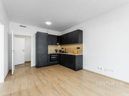 Pronájem bytu, 2+kk, 42 m²