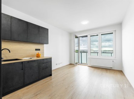 Pronájem bytu, 2+kk, 42 m²