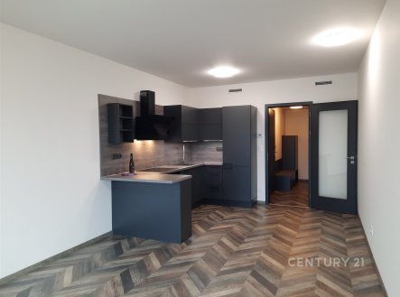 Pronájem bytu, 1+kk, 35 m²
