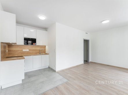 Prodej bytu, 1+kk, 32 m²
