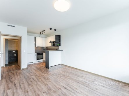 Pronájem bytu, 3+kk, 70 m²