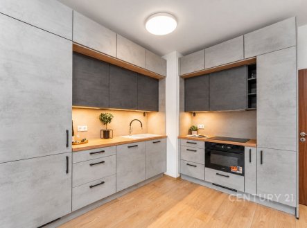 Pronájem bytu, 3+kk, 68 m²