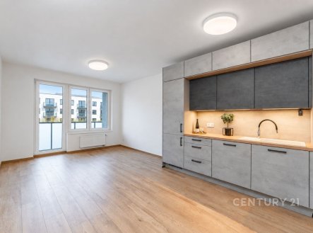 Pronájem bytu, 3+kk, 68 m²