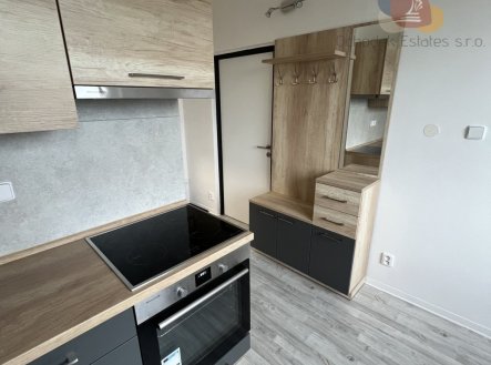 Pronájem bytu, 1+1, 33 m²
