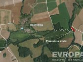 Prodej pozemku, zemědělská půda, 3 956 m²