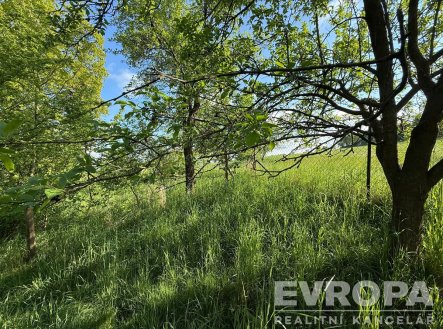 Pronájem pozemku, zahrada, 3 333 m²