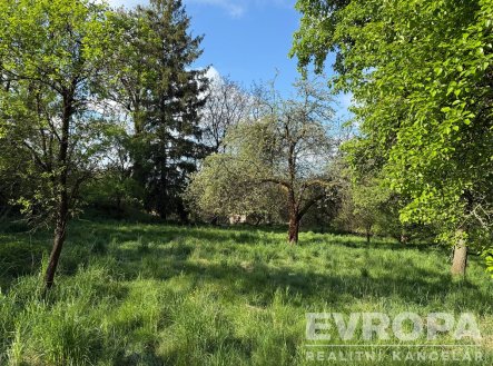 Pronájem pozemku, zahrada, 3 333 m²