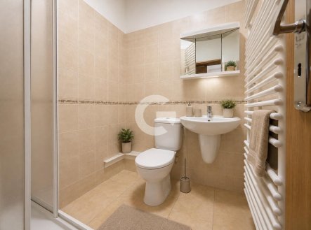 Prodej bytu, 1+kk, 28 m²