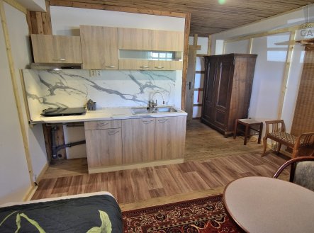 Pronájem bytu, 1+kk, 25 m²