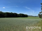 Prodej pozemku, zemědělská půda, 7 494 m²