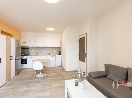 Pronájem bytu, 2+kk, 43 m²