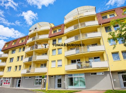 Pronájem bytu, 1+1, 36 m²