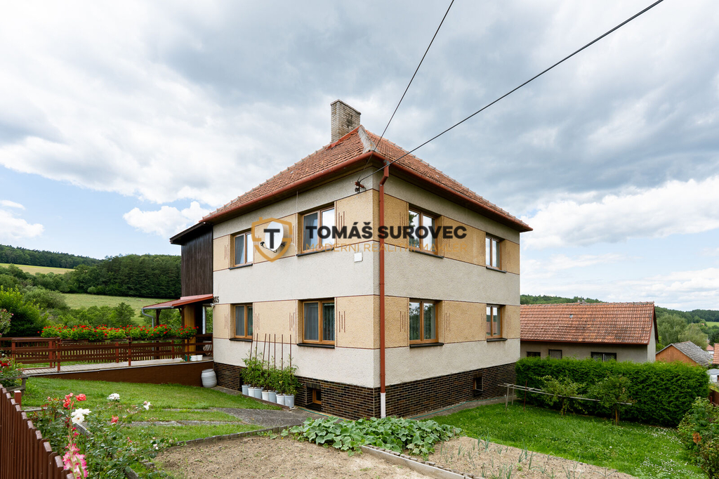 kochavec-1.jpg