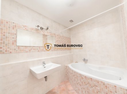 Pronájem bytu, 3+kk, 1 155 m²