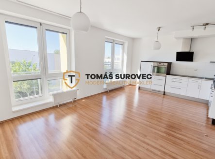 Pronájem bytu, 3+kk, 1 155 m²