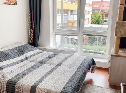 Pronájem bytu, 3+kk, 82 m²