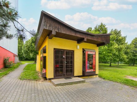 Pronájem obchodní prostory, 30 m²