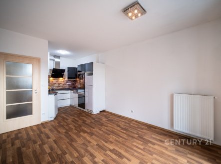 Prodej bytu, 2+kk, 42 m²
