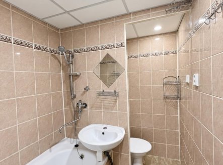Prodej bytu, 1+1, 33,1 m²