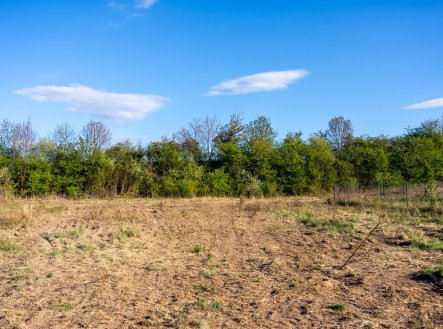 Prodej pozemku pro bydlení, 1 605 m²