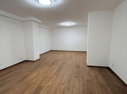 Pronájem bytu, 1+kk, 41 m²