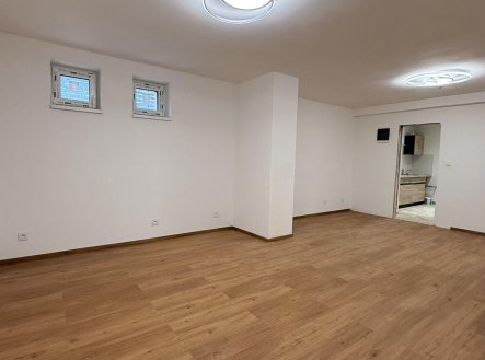 Pronájem bytu, 1+1, 41 m²