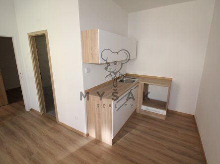 Pronájem bytu, 1+1, 38 m²