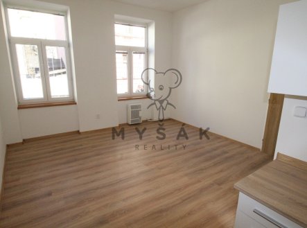 Pronájem bytu, 1+1, 38 m²