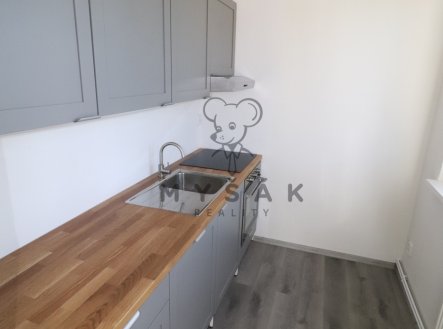 Pronájem bytu, 3+kk, 58 m²