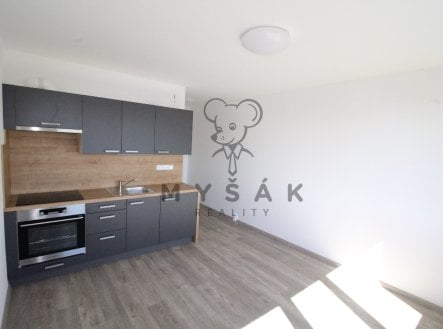 Pronájem bytu, 1+kk, 21 m²