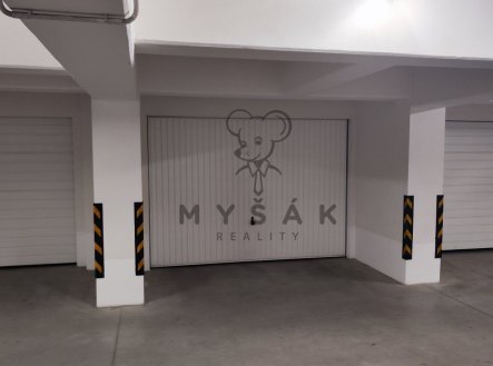 Pronájem