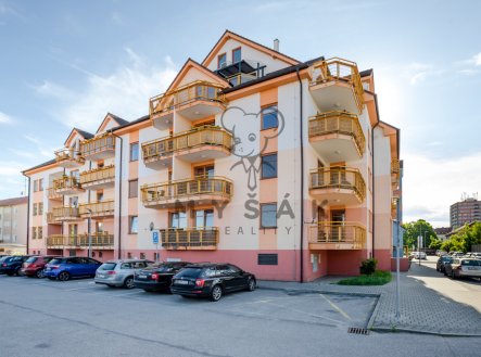 Pronájem
