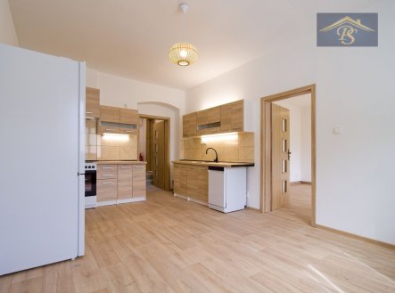 Pronájem bytu, 1+1, 57 m²