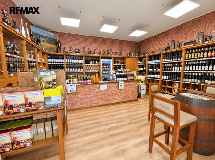 Pronájem jiné komerční nemovitosti, 54 m²