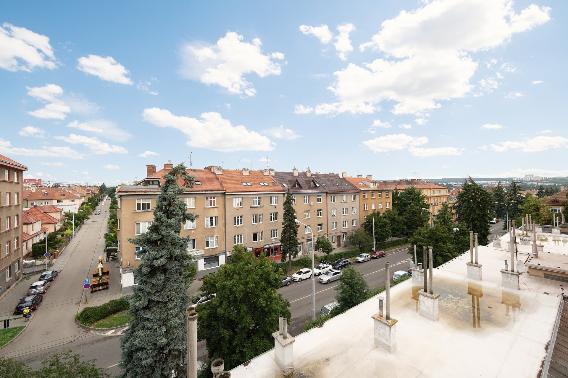 Skacelova (2)