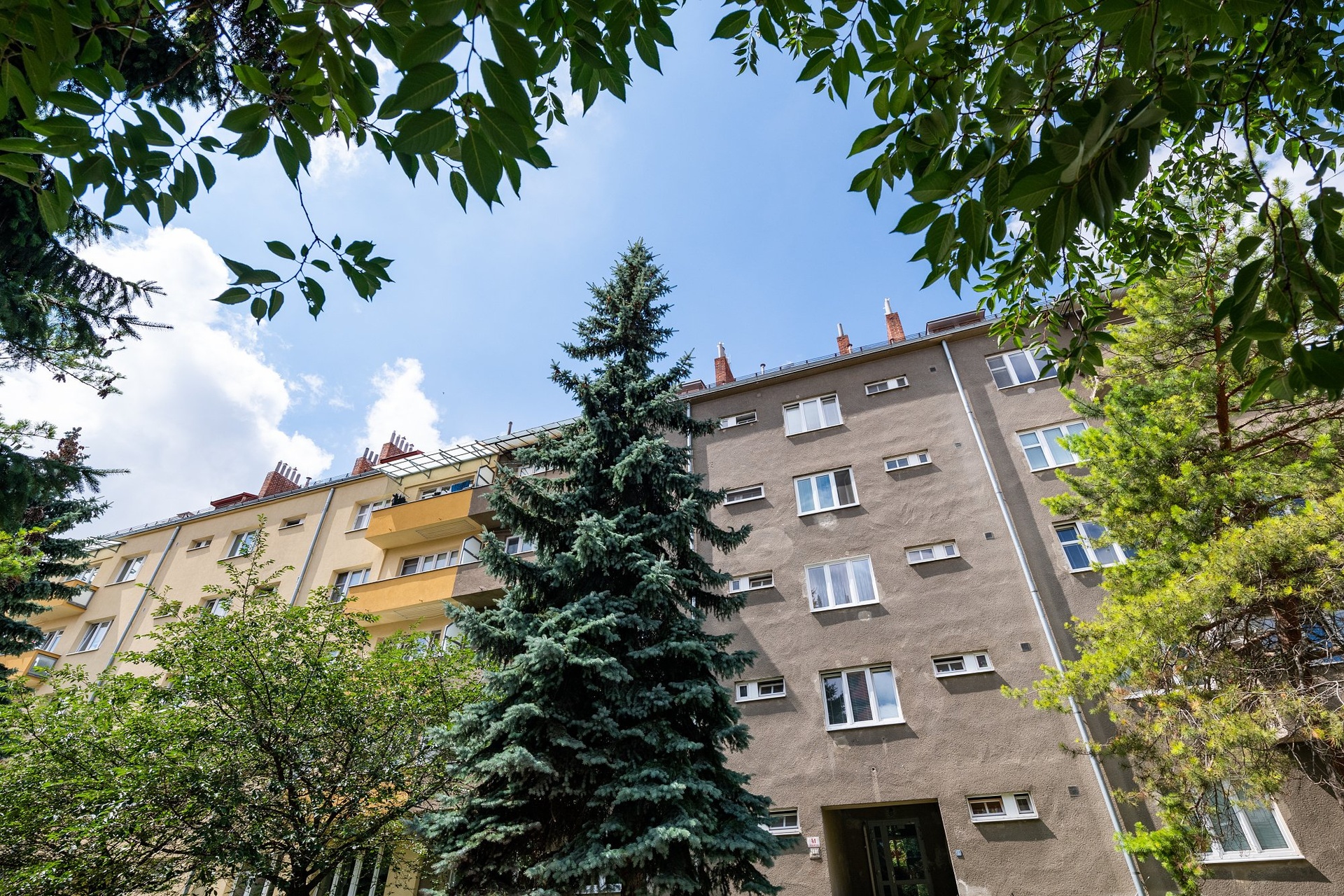 Skacelova (13)