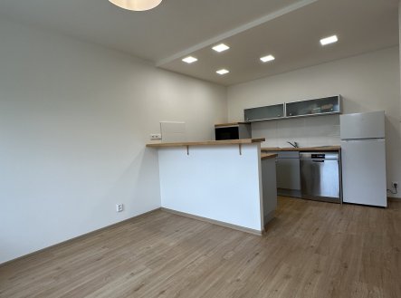 Pronájem bytu, 2+kk, 41 m²