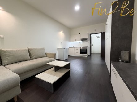 Pronájem bytu, 1+kk, 27 m²