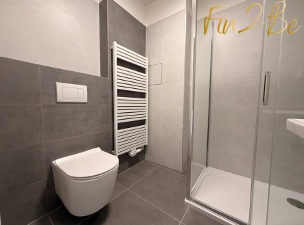 Pronájem bytu, 1+kk, 46 m²
