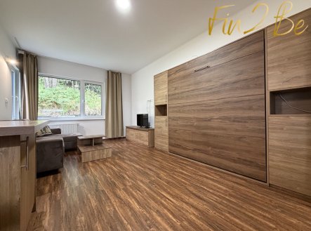 Pronájem bytu, 1+kk, 28 m²