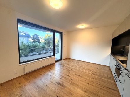 Pronájem bytu, 2+kk, 46 m²