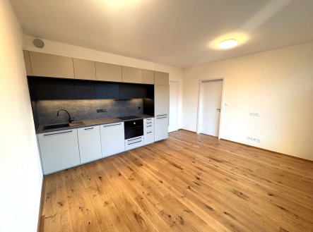 Pronájem bytu, 2+kk, 46 m²