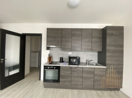 Pronájem bytu, 1+kk, 38 m²